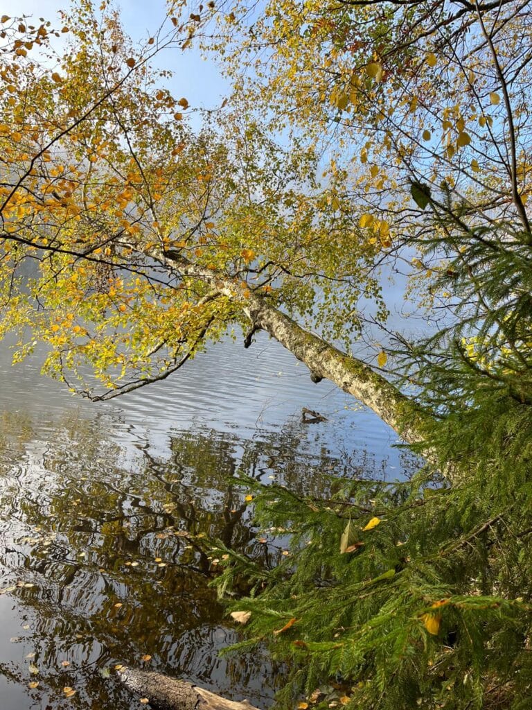 Syksyn aloitustapahtuma 18.8.2026 - Lue lisää